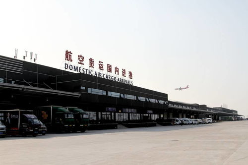 重庆成为国内首批航空货运中性电子运单试点城市 重庆机场货运发展迈入2.0时代